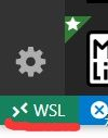 vscode远程wsl